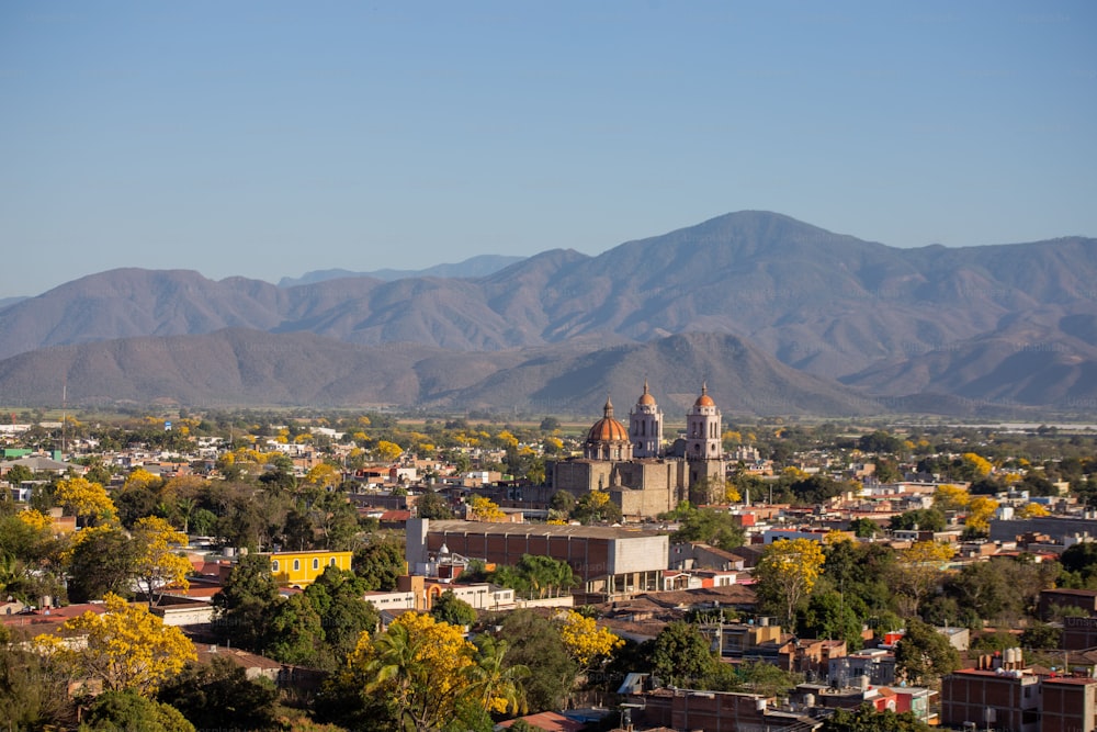 An aerial view of spring trees in the city of Autlan de navarro in Jalisco, Mexico