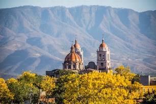 メキシコ、ハリスコ州のアウトランデナバロ市の春の木の空中写真