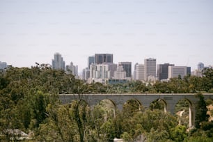 The city skyline of San Diego in California