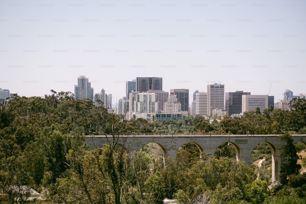 The city skyline of San Diego in California