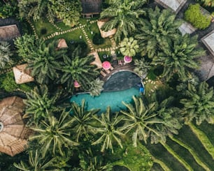 インドネシア、バリ島、ウブドの風光明媚なリゾートの空撮