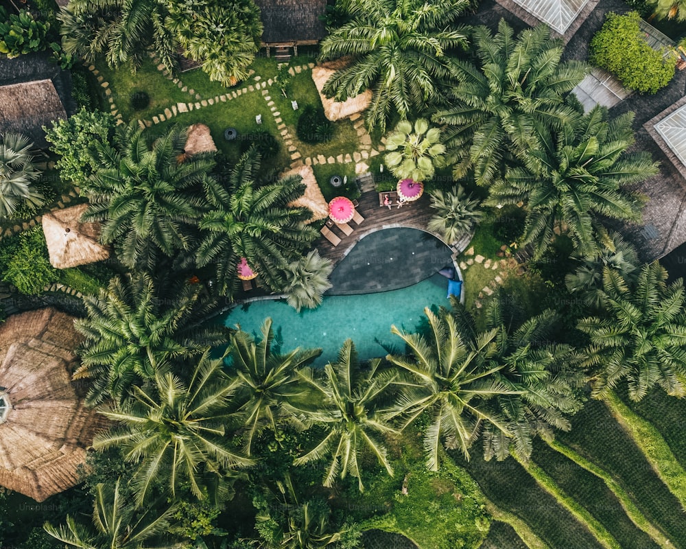 An aerial view of a scenic resort in Ubud, Bali, Indonesia