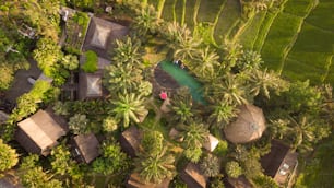 An aerial view of a scenic resort in Ubud, Bali, Indonesia