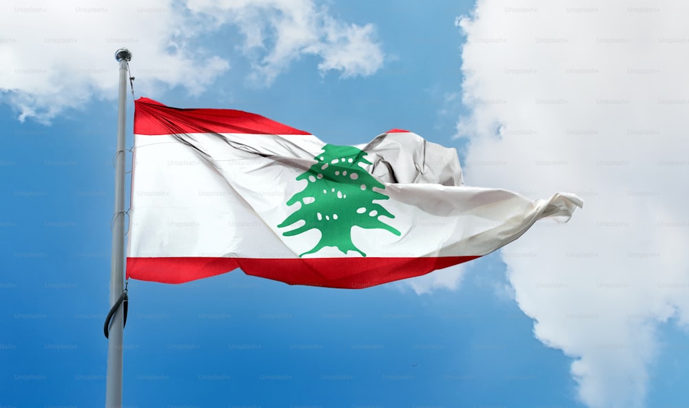 레바논 국기 - 사실적인 흔들리는 직물 깃발