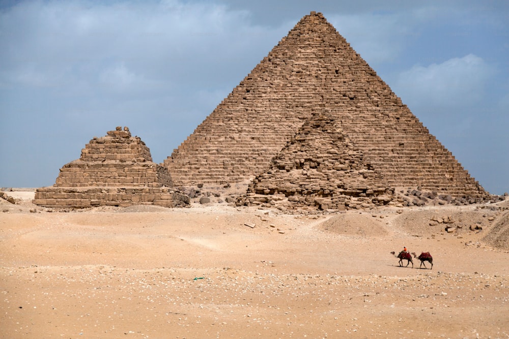 이집트에서 낙타를 탄 남자 기자의 피라미드 근처 카이로 사막
