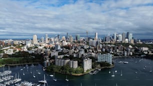 A stunning aerial view of Rushcutters Bay in Australia, featuring a cloudy sky overhead.