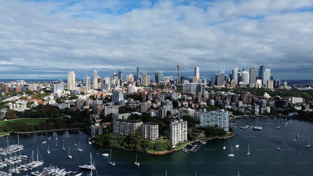 Una impresionante vista aérea de la bahía de Rushcutters en Australia, con un cielo nublado sobre nuestras cabezas.