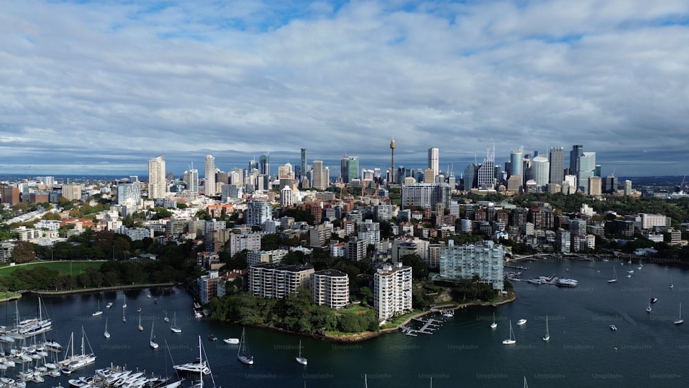 A stunning aerial view of Rushcutters Bay in Australia, featuring a cloudy sky overhead.