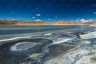 Tso Kar - lago salado fluctuante en el Himalaya. Rapshu, Ladakh, Jammu y Cachemira, India