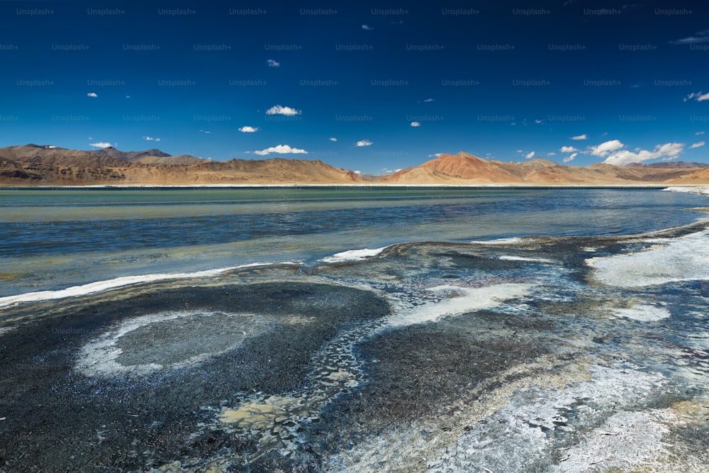 Tso Kar - lago salgado flutuante no Himalaia. Rapshu, Ladakh, Jammu e Caxemira, Índia