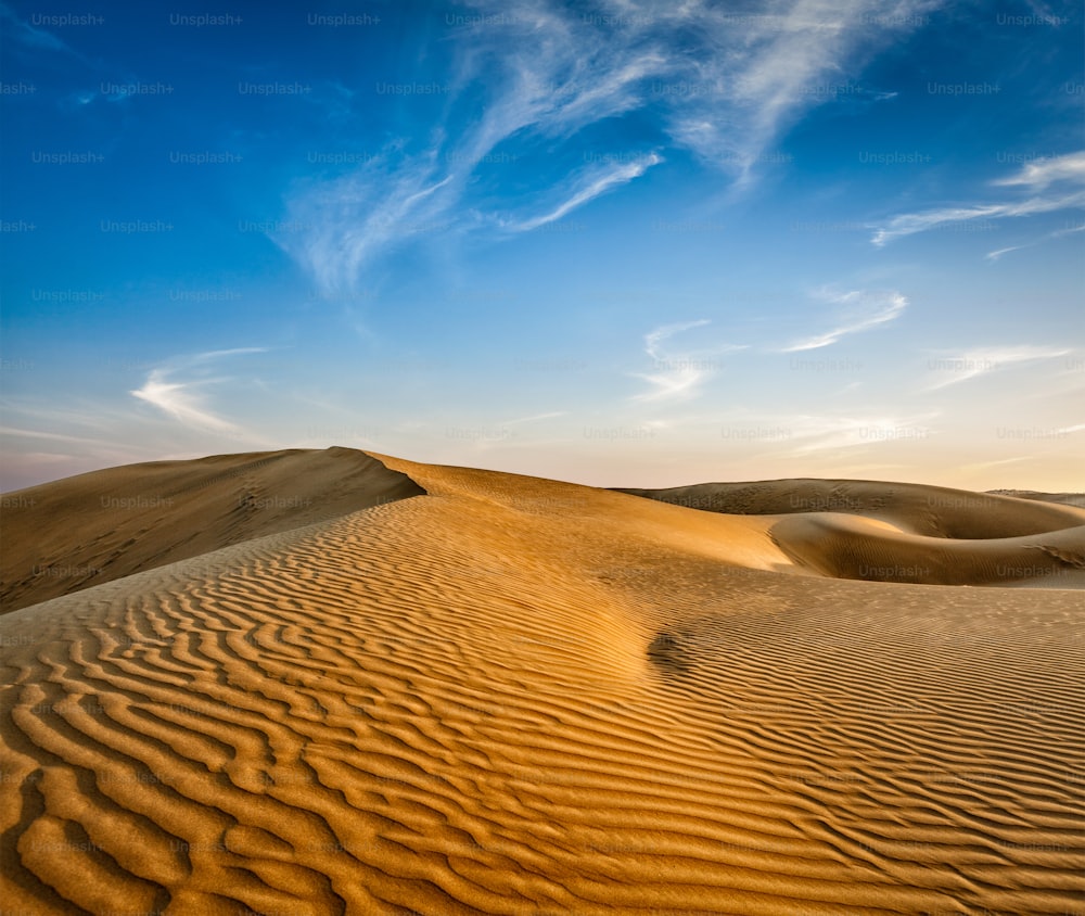 타르 사막의 모래 언덕. Sam Sand dunes, 라자스탄 주, 인도