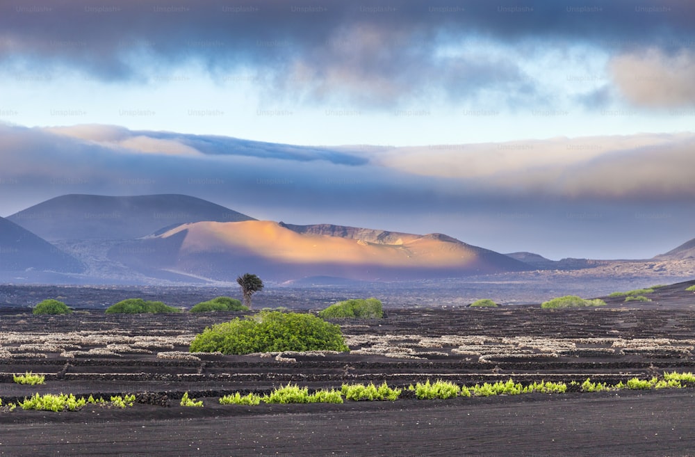 extinguished volcanoes in Timanfaya National Park, Lanzarote