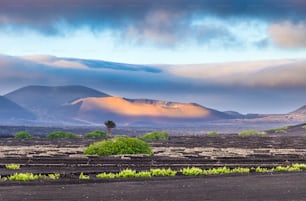 extinguished volcanoes in Timanfaya National Park, Lanzarote