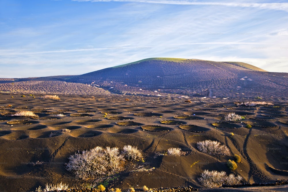 Landscape La Geria in Lanzarote, a Wine area on volcanic ash