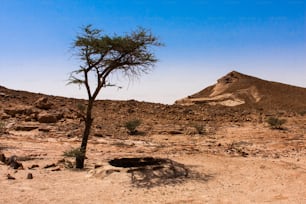 Un puits asséché dans le désert au sud-ouest de Riyad