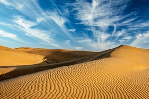 Sam Sand dunes in Thar Desert. Rajasthan, India