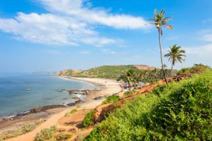 Plage de Vagator ou d’Ozran avec vue panoramique aérienne sur les palmiers au nord de Goa, Inde