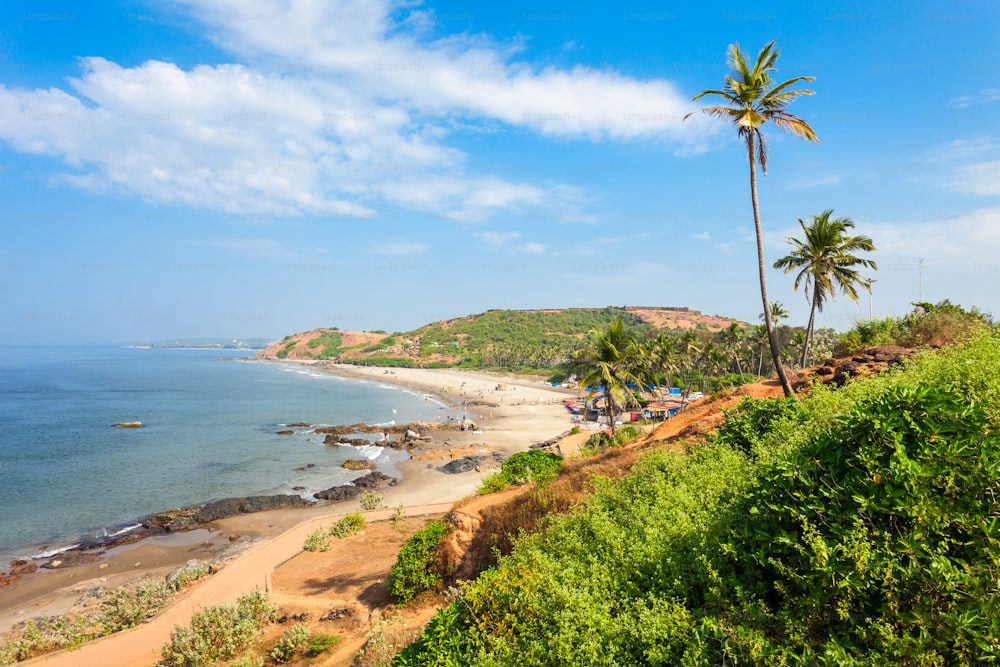 Praia Vagator ou Ozran com vista panorâmica aérea de palmeiras no norte de Goa, Índia