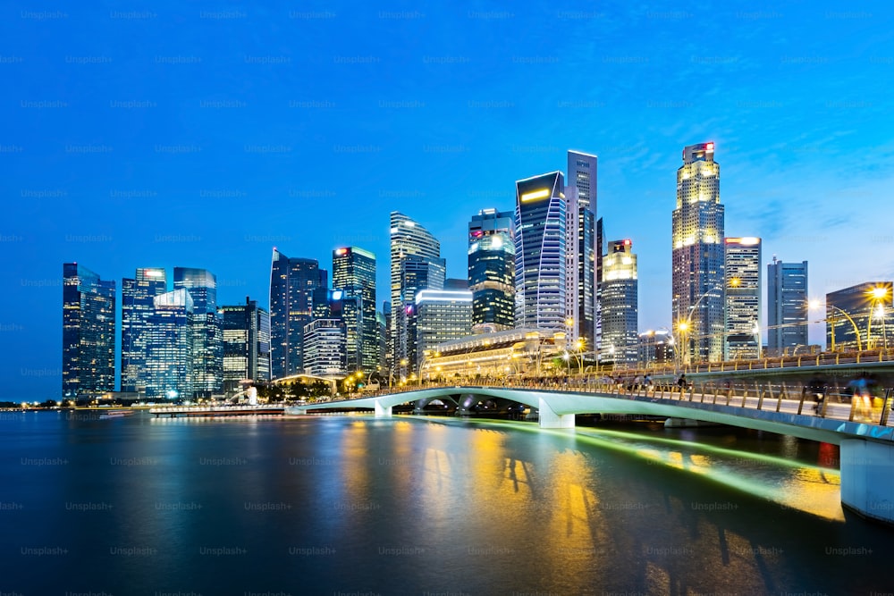 Horizonte del distrito de negocios de Singapur por la noche. Marina Bay, Singapur.