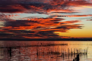 スペイン東部の淡水ラグーンと河口であるバレンシアのアルブフェラの夕暮れ時にポールに立つ鳥のシルエット。