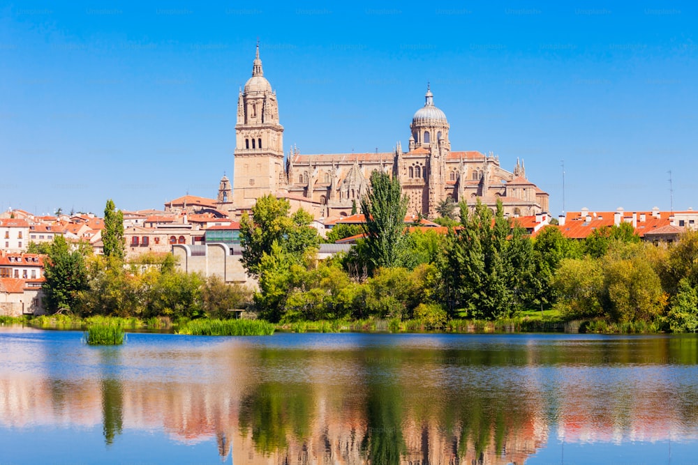 살라망카 대성당은 스페인의 살라망카 시, 카스티야, 레온에 있는 후기 고딕 양식과 바로크 양식의 성당입니다