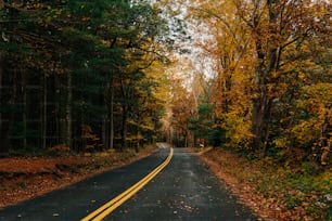 an empty road surrounded by trees in the fall