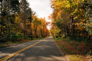 an empty road surrounded by trees in the fall