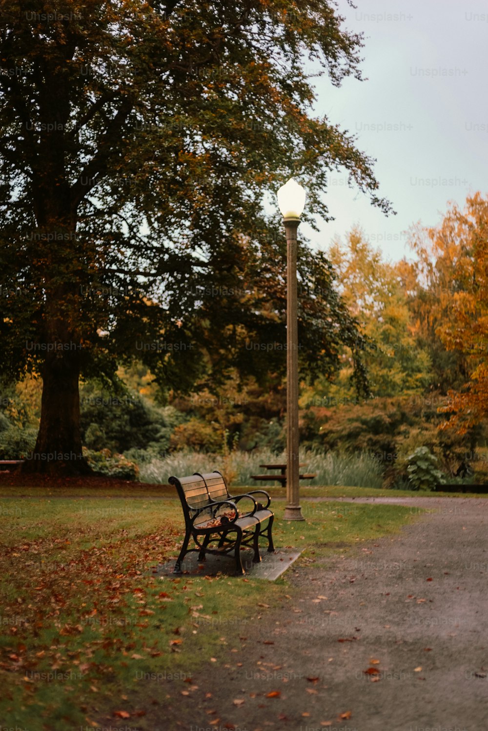 un banco del parque sentado junto a un poste de luz