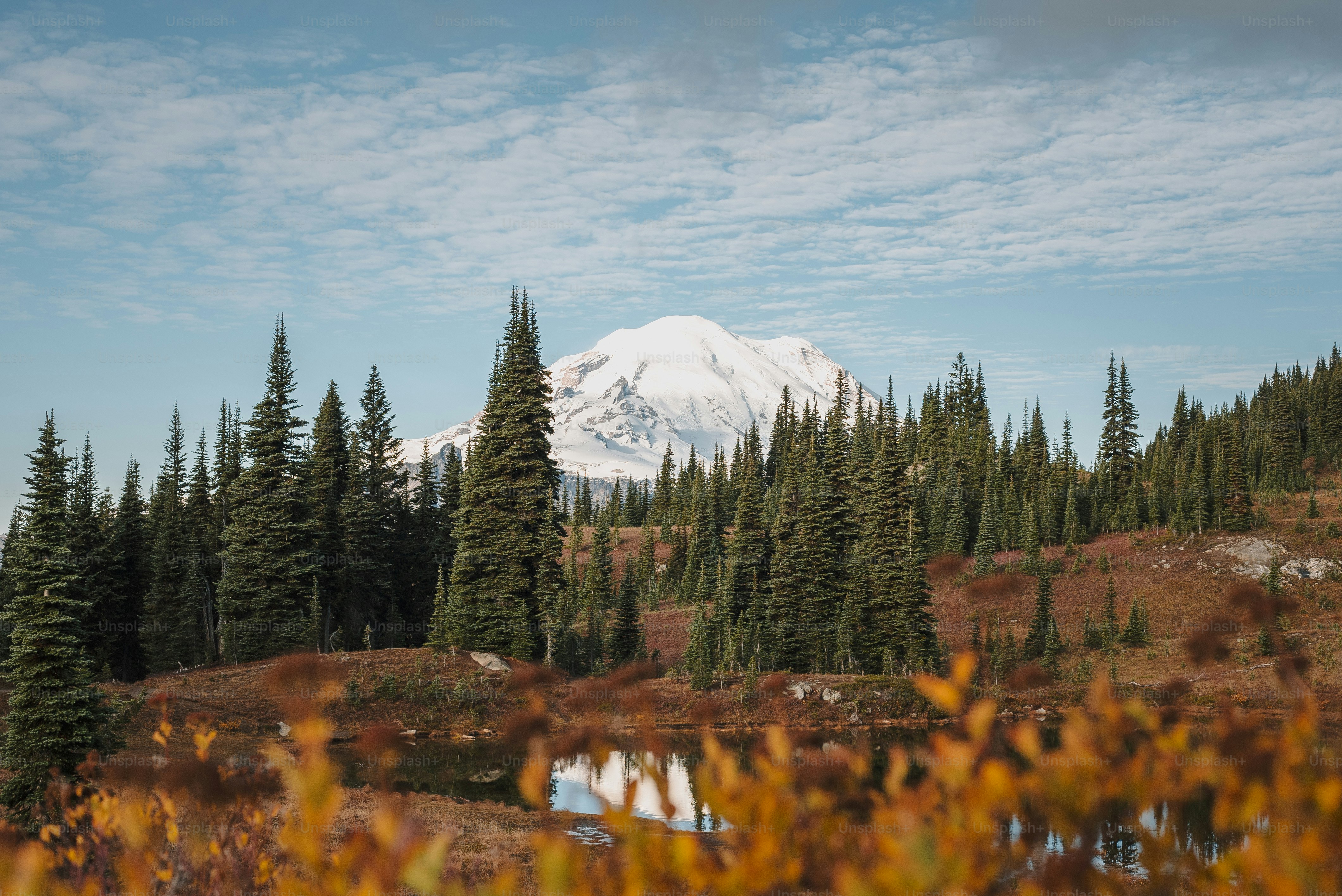 Perillup, Western Australia