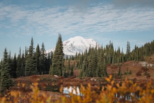 a view of a mountain with a lake in the foreground