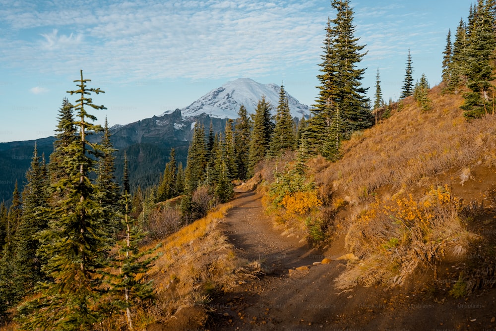 a dirt path with trees and a mountain in the background