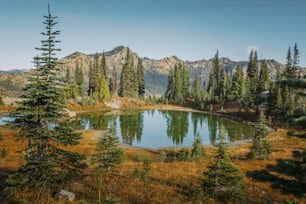 um lago cercado por árvores nas montanhas