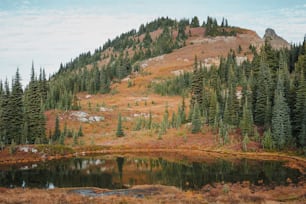 una montagna con un lago circondato da alberi