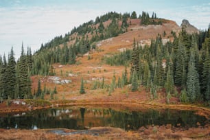 a mountain with a lake surrounded by trees