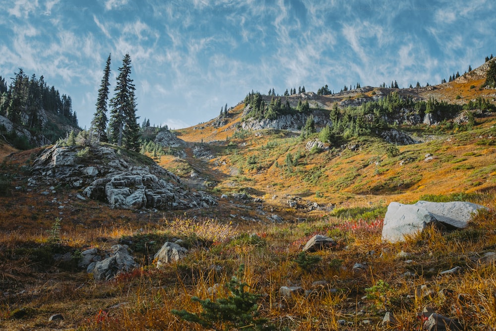 a painting of a rocky hillside with trees in the background