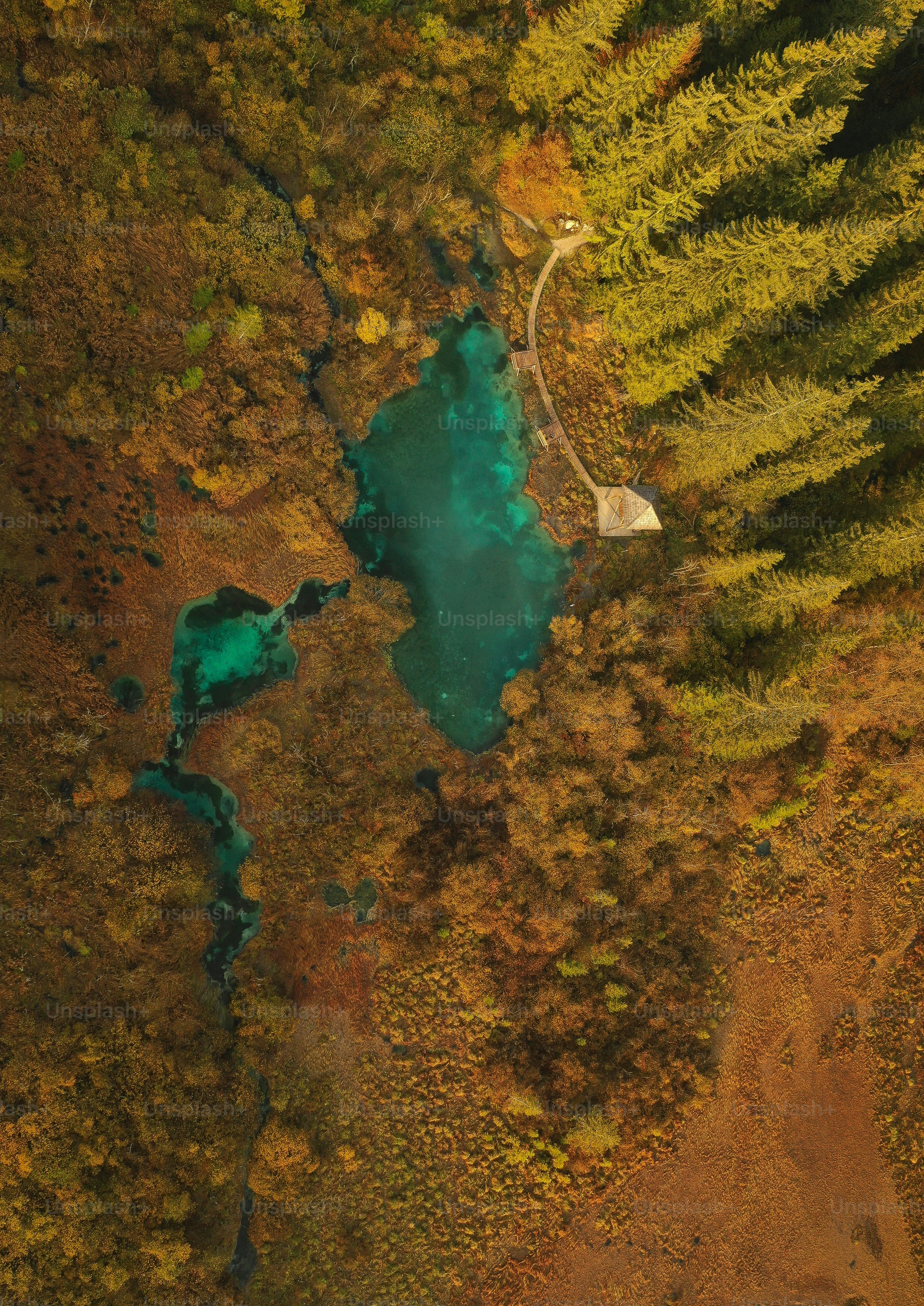 An aerial view of a lake surrounded by trees photo – Autumn Image on ...