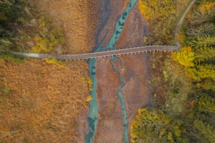 森の真ん中にある橋の空中写真