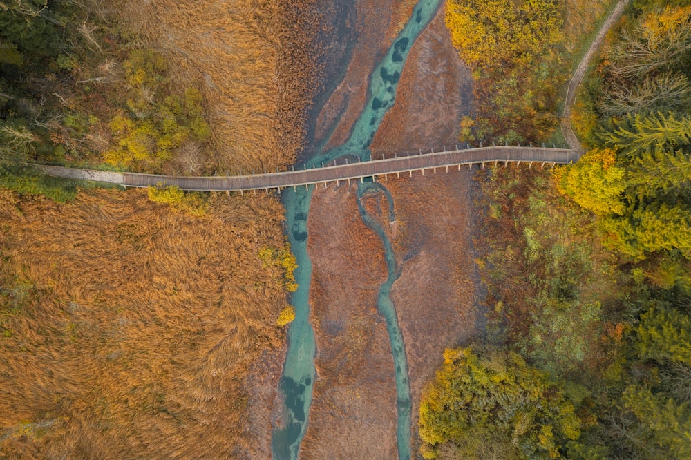 une vue aérienne d’un pont au milieu d’une forêt