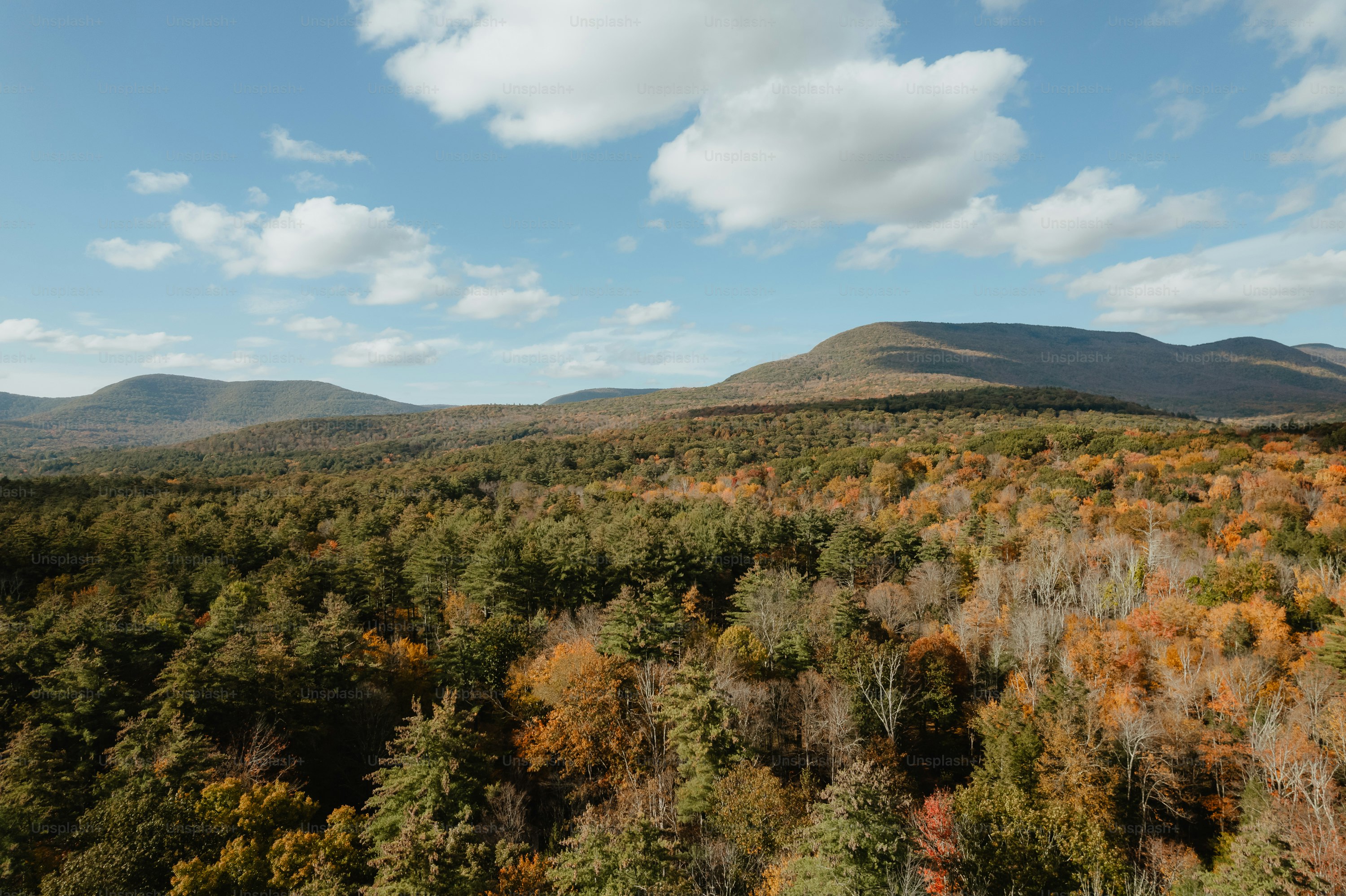 a scenic view of a forest with mountains in the background