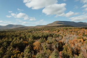 a scenic view of a forest with mountains in the background