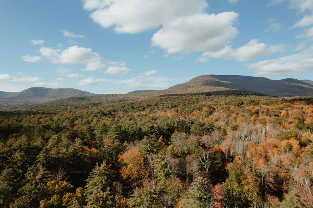 uma vista panorâmica de uma floresta com montanhas ao fundo