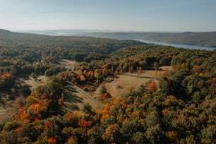 an aerial view of a wooded area with a lake in the distance