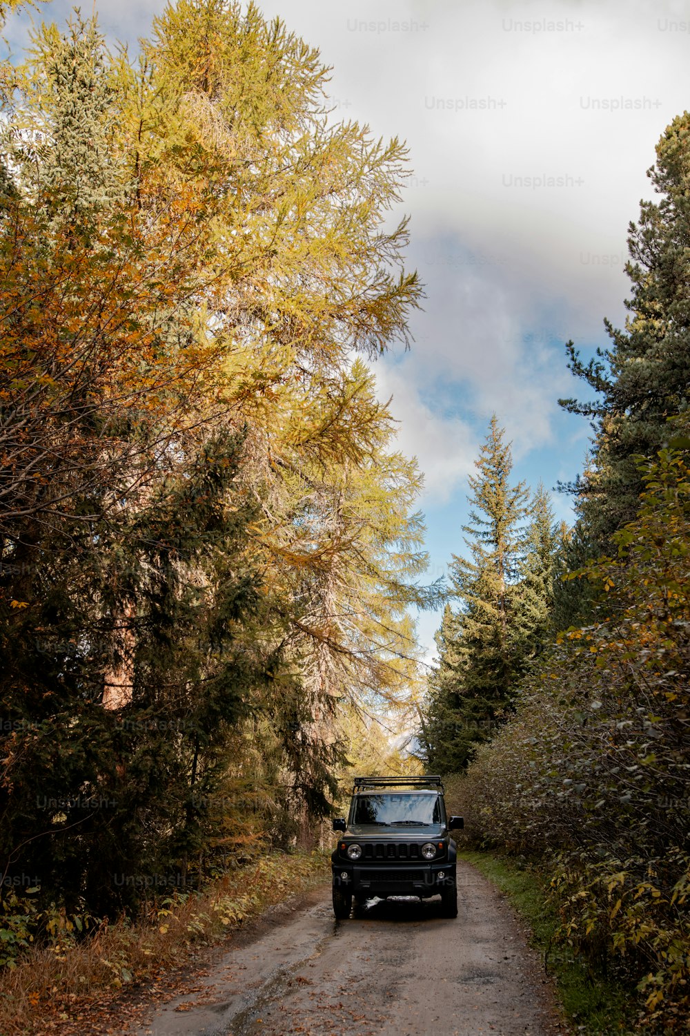 a truck driving down a dirt road surrounded by trees