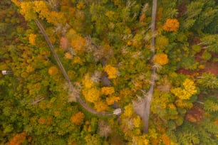 an aerial view of a forest with lots of trees