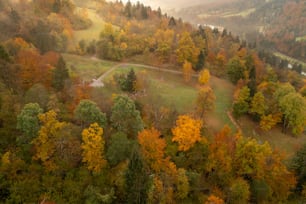 an aerial view of a wooded area with a river running through it