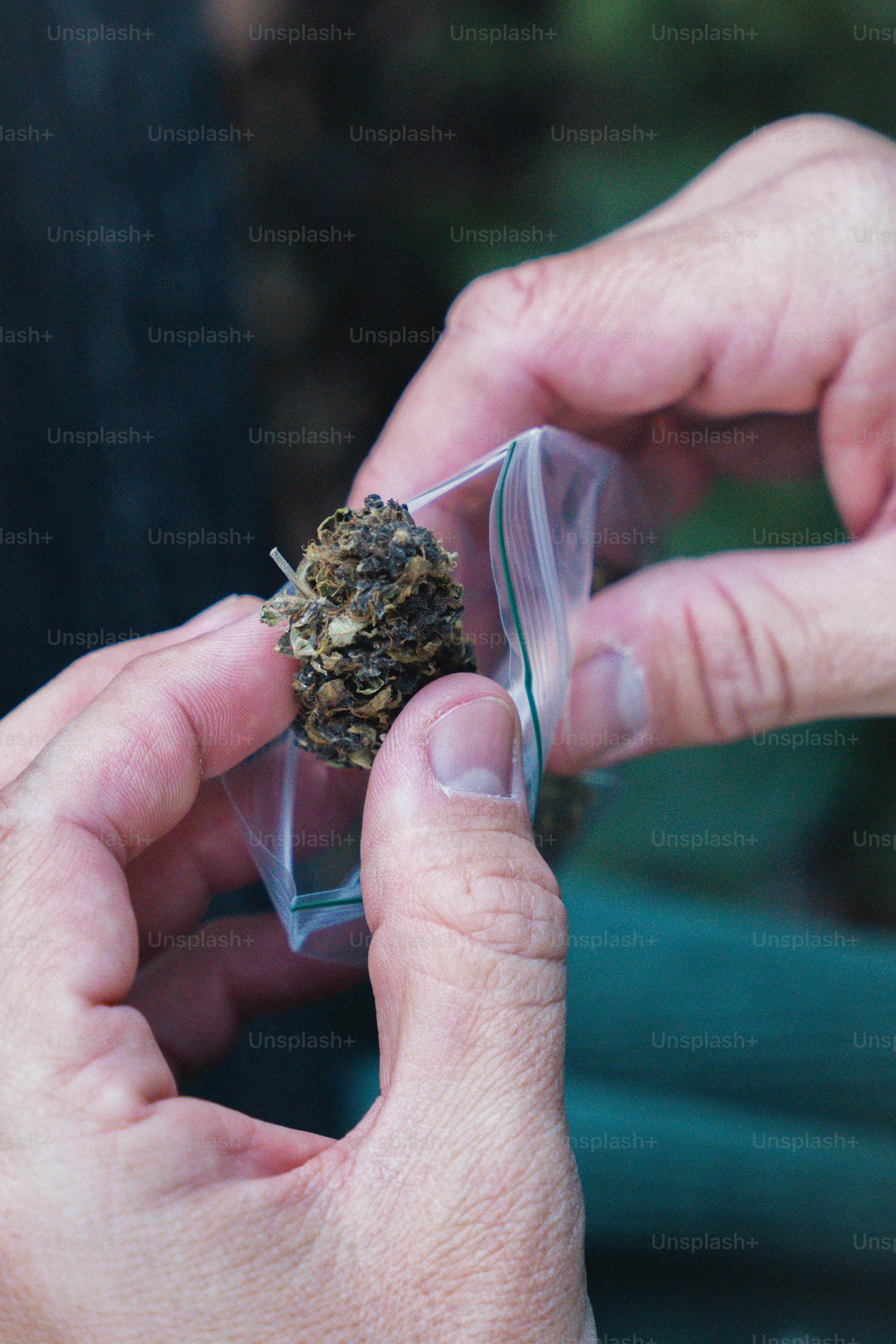 a person holding a small piece of marijuana in their hands
