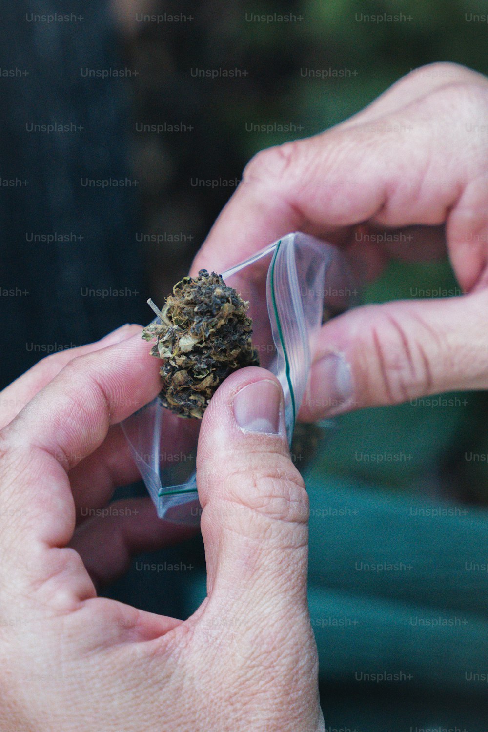 a person holding a small piece of marijuana in their hands