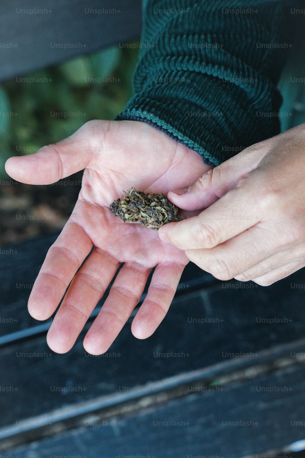 a person holding a small piece of food in their hands