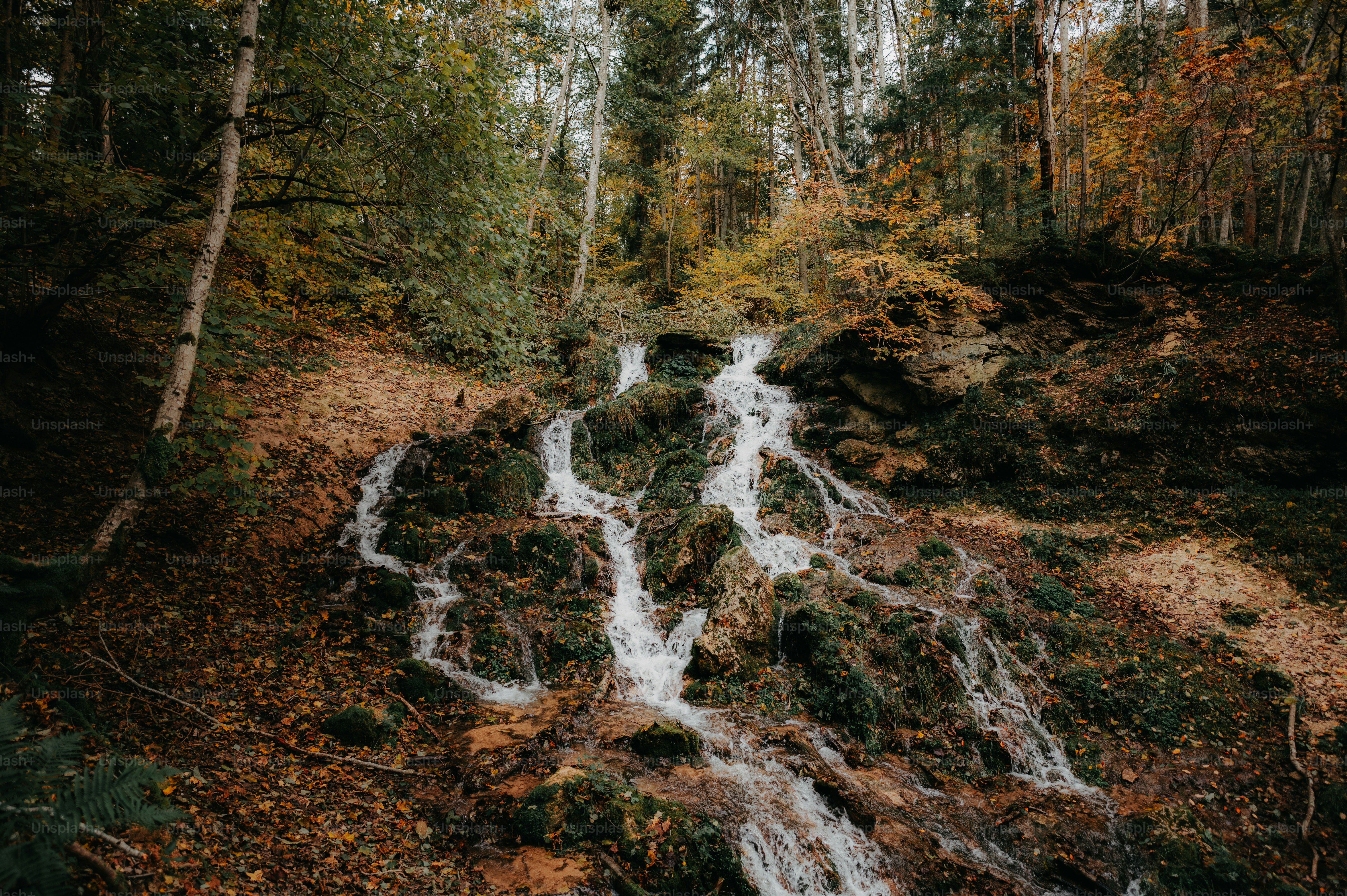 a small waterfall in the middle of a forest
