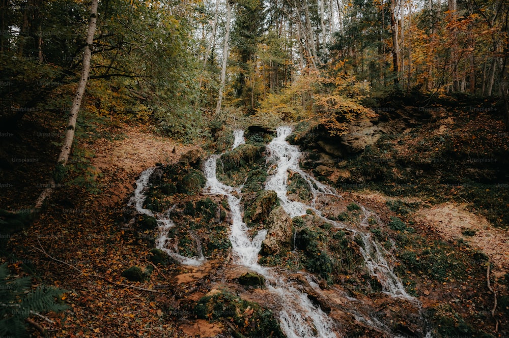 Una pequeña cascada en medio de un bosque